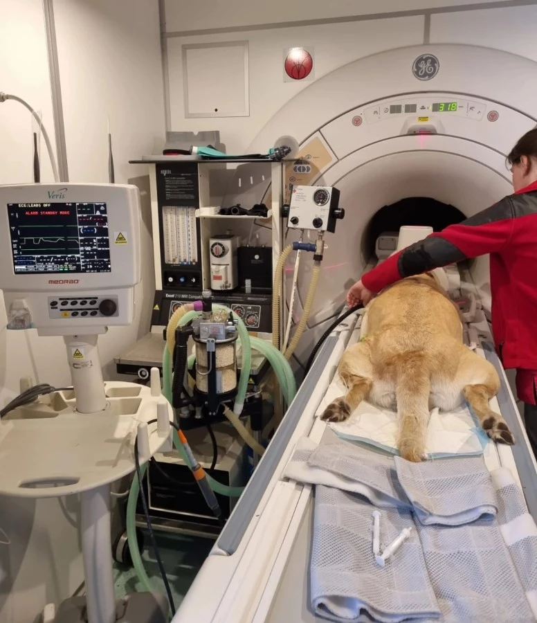 Przygotowanie pacjenta do badania MRI - rezonans wysokopolowy GE 1,5 T