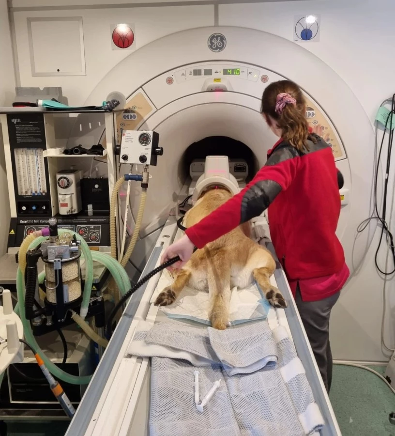 Lek. Paulina Jarzombek przygotowuje się do wykonania badania MRI